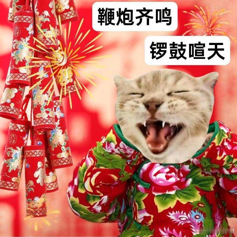 大东北不愧为收尾年底的年度神曲 2025年末全被《大东北我的家乡》洗脑了！纯正东