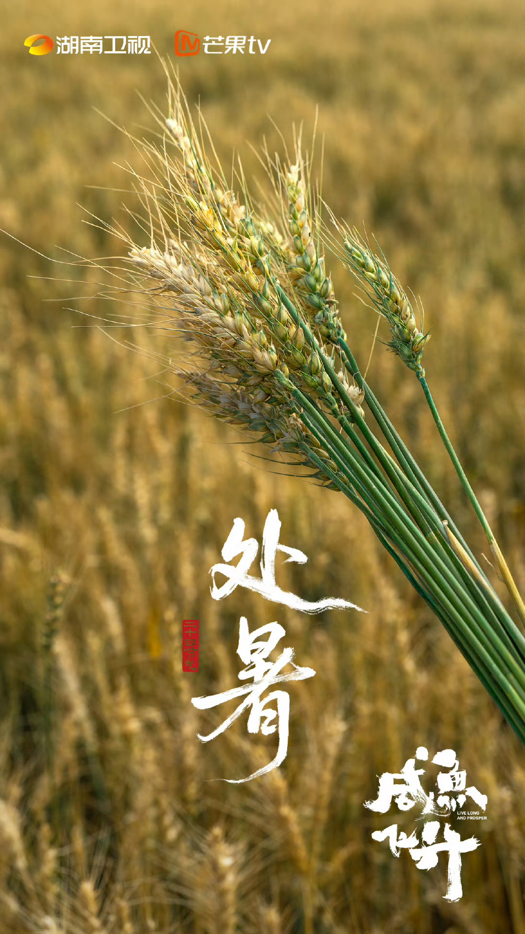 我们小咸鱼的景色明信片真好看很有生机勃勃的明媚美吧 