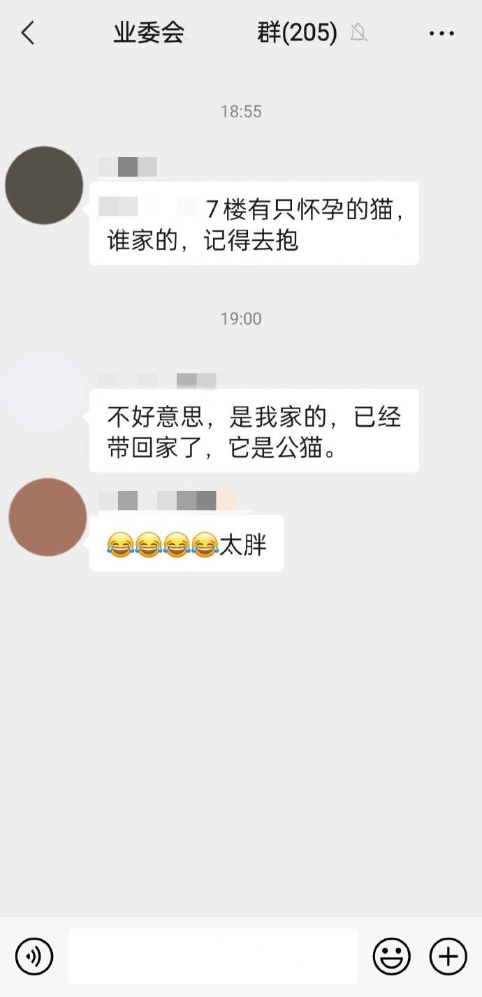 分享图片 