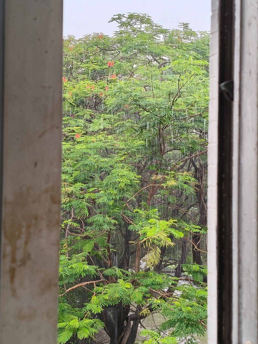 为什么要在我下班的时候下大雨