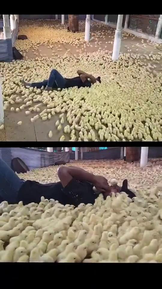 你这个人呢？