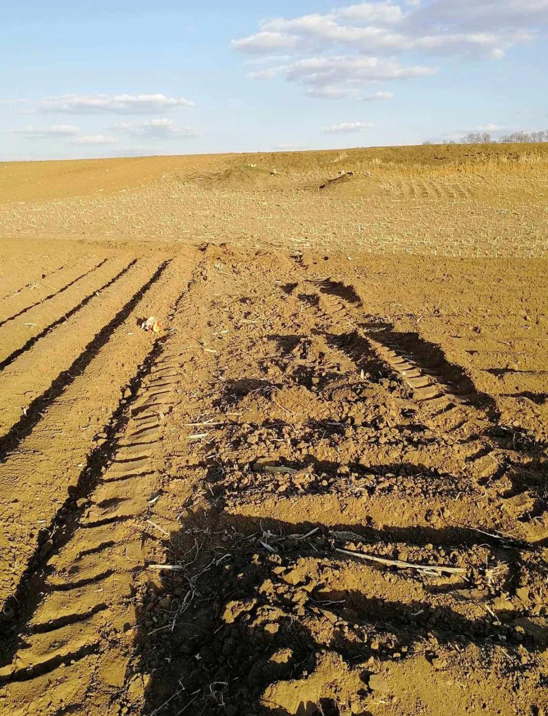 中国最珍贵的资源，不是石油，不是稀土，而是北方最常见的黄土层。

黄土高原上有一