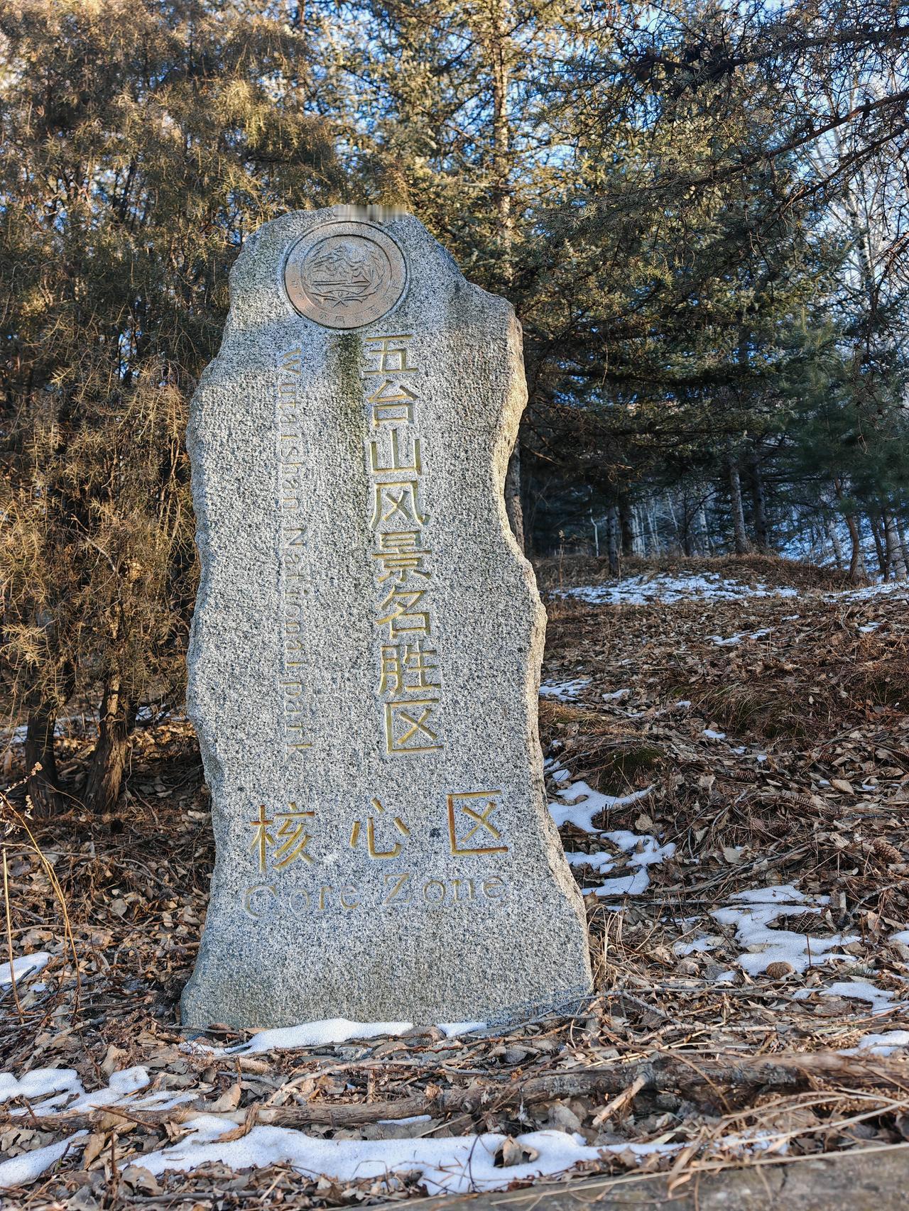 黑天鹅一个接一个！