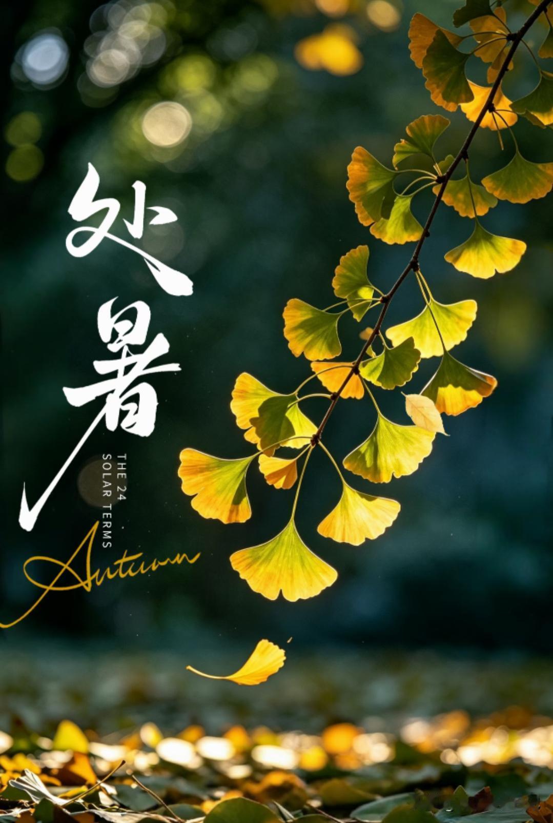 “冷不冷，就看处暑”
周日处暑，今年冬天会很冷吗？
看农谚咋说
23号处暑，老话