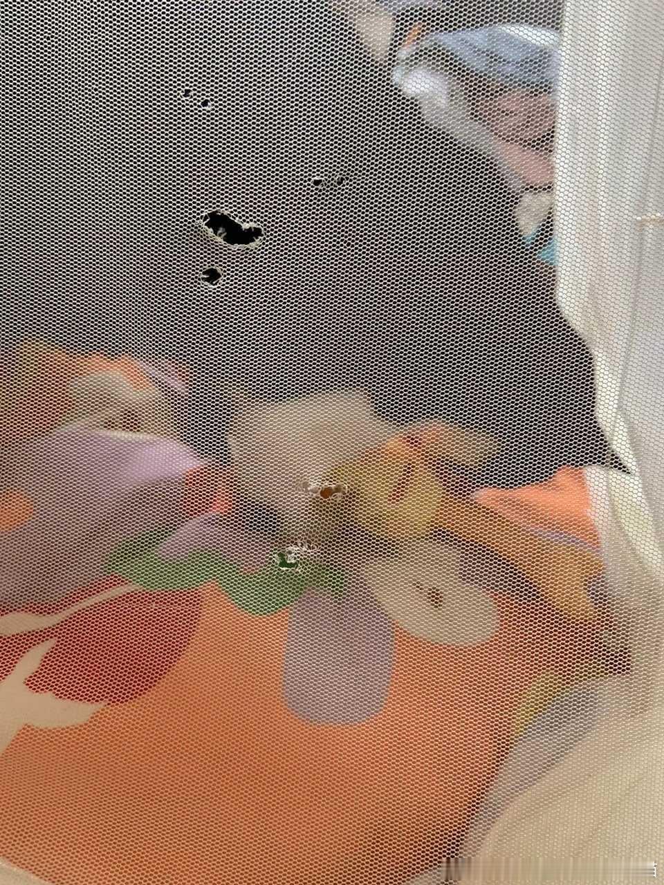 49429【心灵丑】是蚊子咬的还是小猫咬的好难猜 