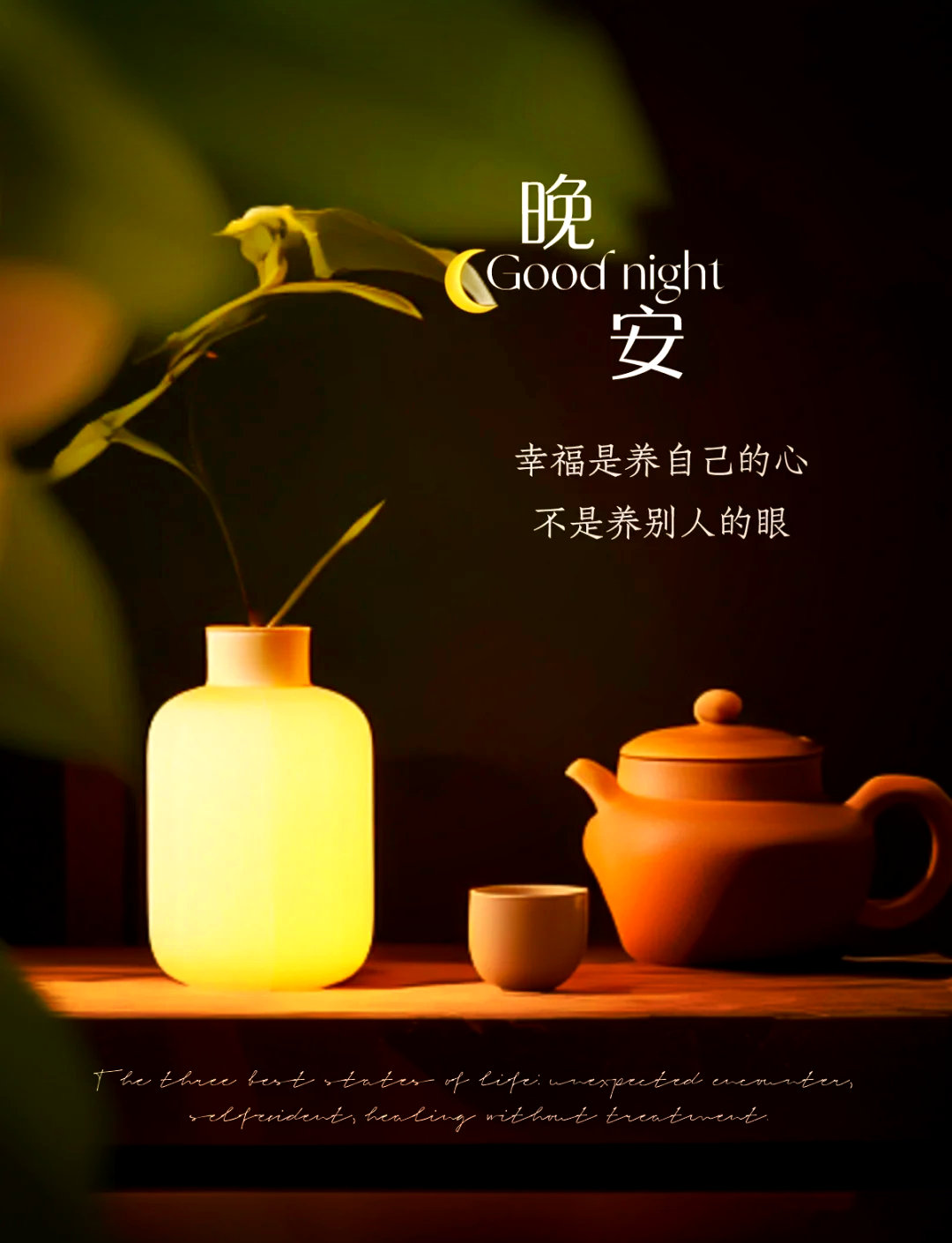 晚安 夜色温柔，正好安放你一天的奔波与梦想。晚安好梦 