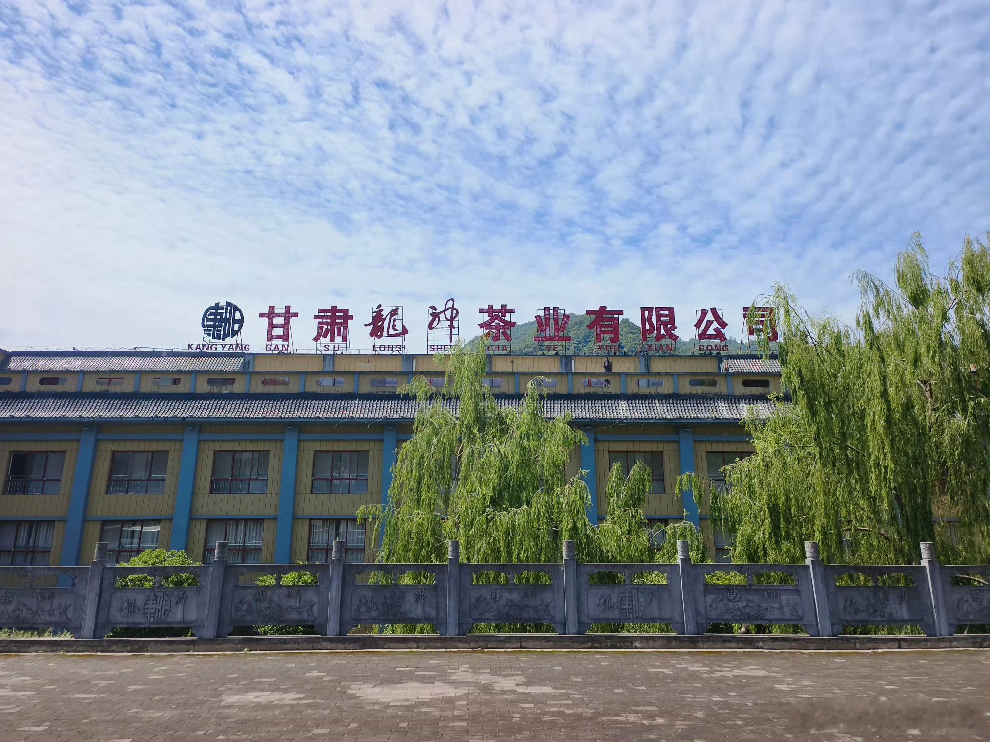 甘肃阳坝林下生态经济 【好生态孕育好产品，林下珍品走向世界】 阳坝镇森林覆盖率高