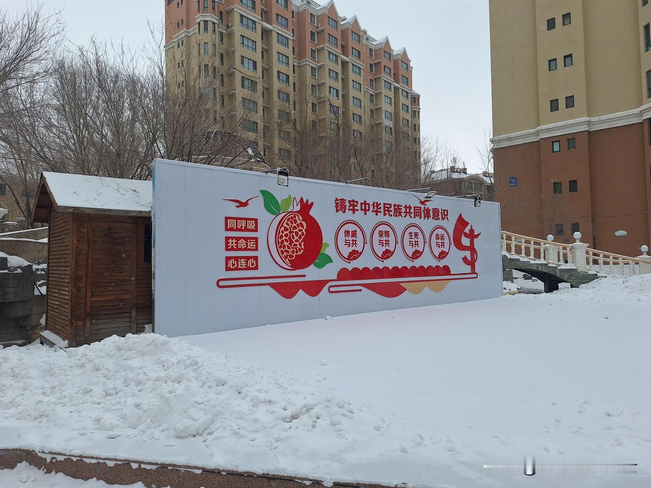 又下雪了，冻榴莲味道咋样？