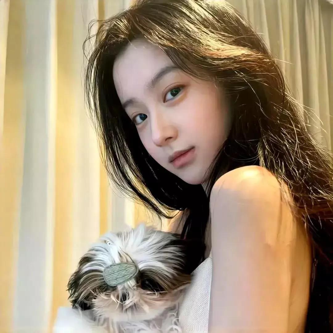 温柔时光，与爱犬共度治愈系宠物狗 带狗狗出去玩儿 温柔狗狗 带狗遛弯 遛狗随心情