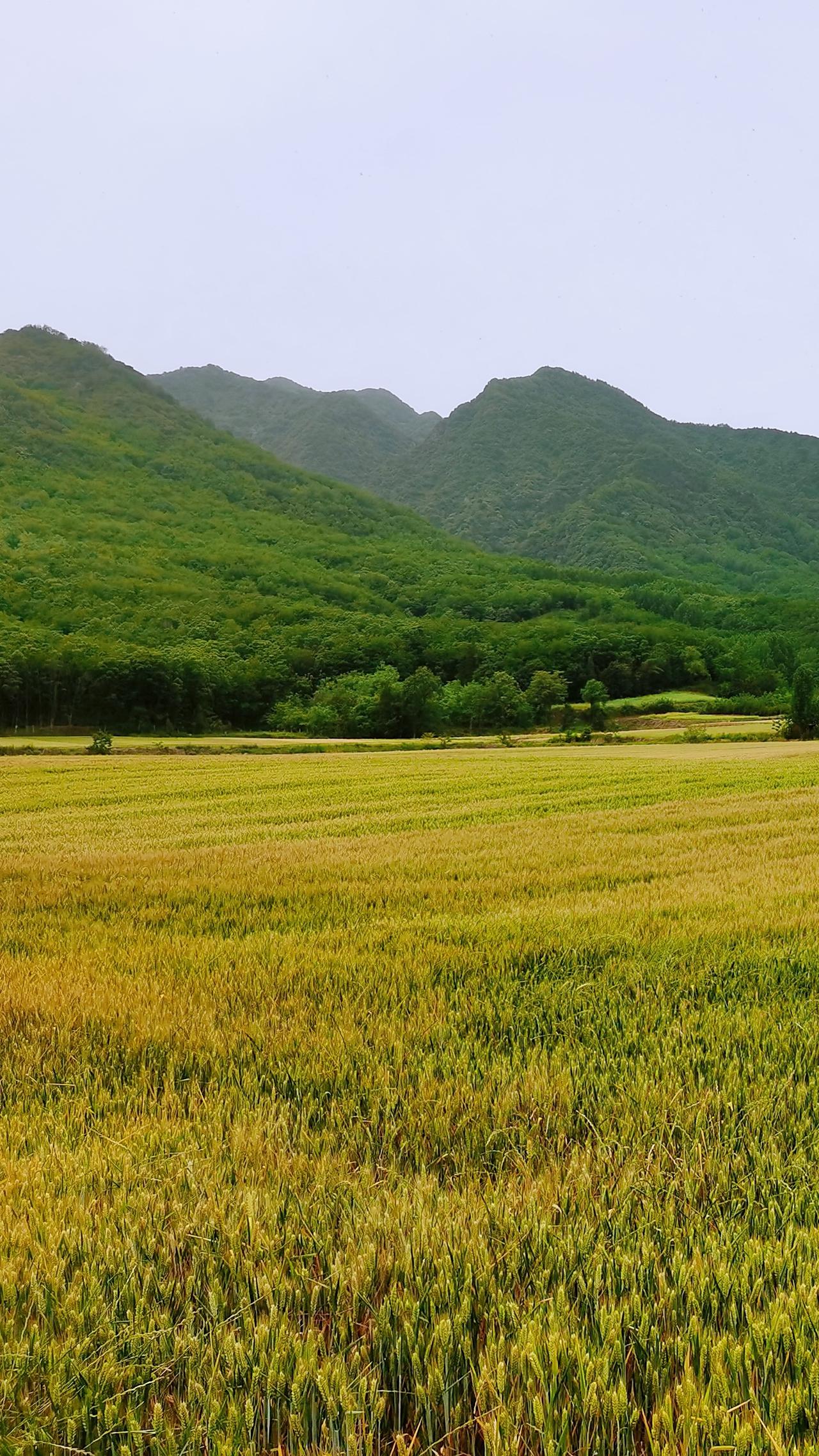 男人一生最大的坑
不是没钱，是娶错了人
别再犯傻了
二十多岁看脸
三十岁以后看命