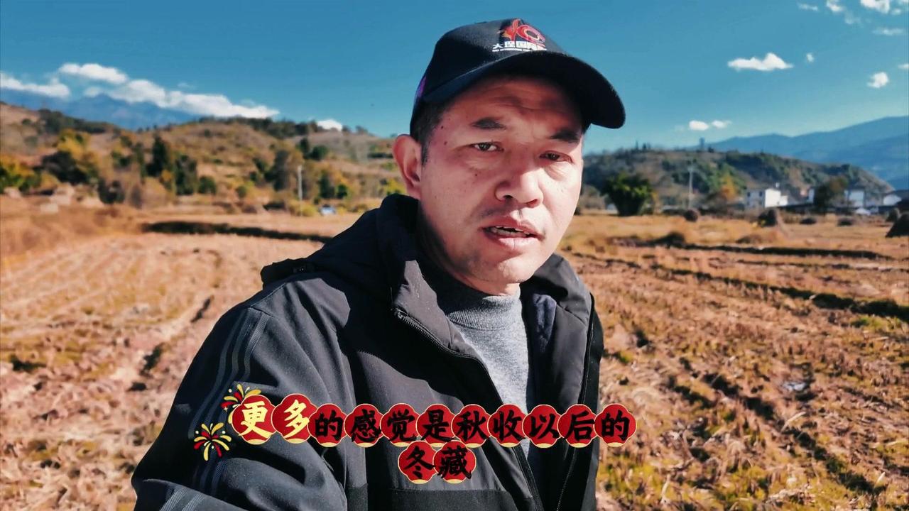大理点苍山西麓的田野，冬日里竟藏着这样的惊喜。

很多人说冬天的田野萧瑟，可我看