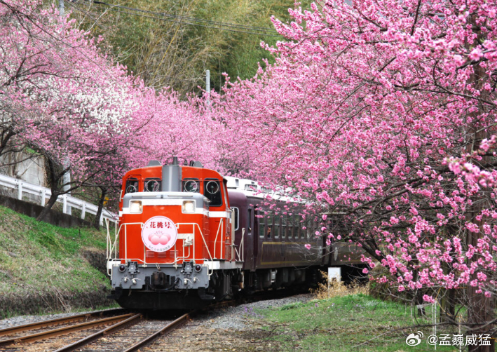 渡良濑遊水地（跨栃木县、群马县、茨城县、埼玉县）每年三月惯例进行的焚烧芦苇。目的
