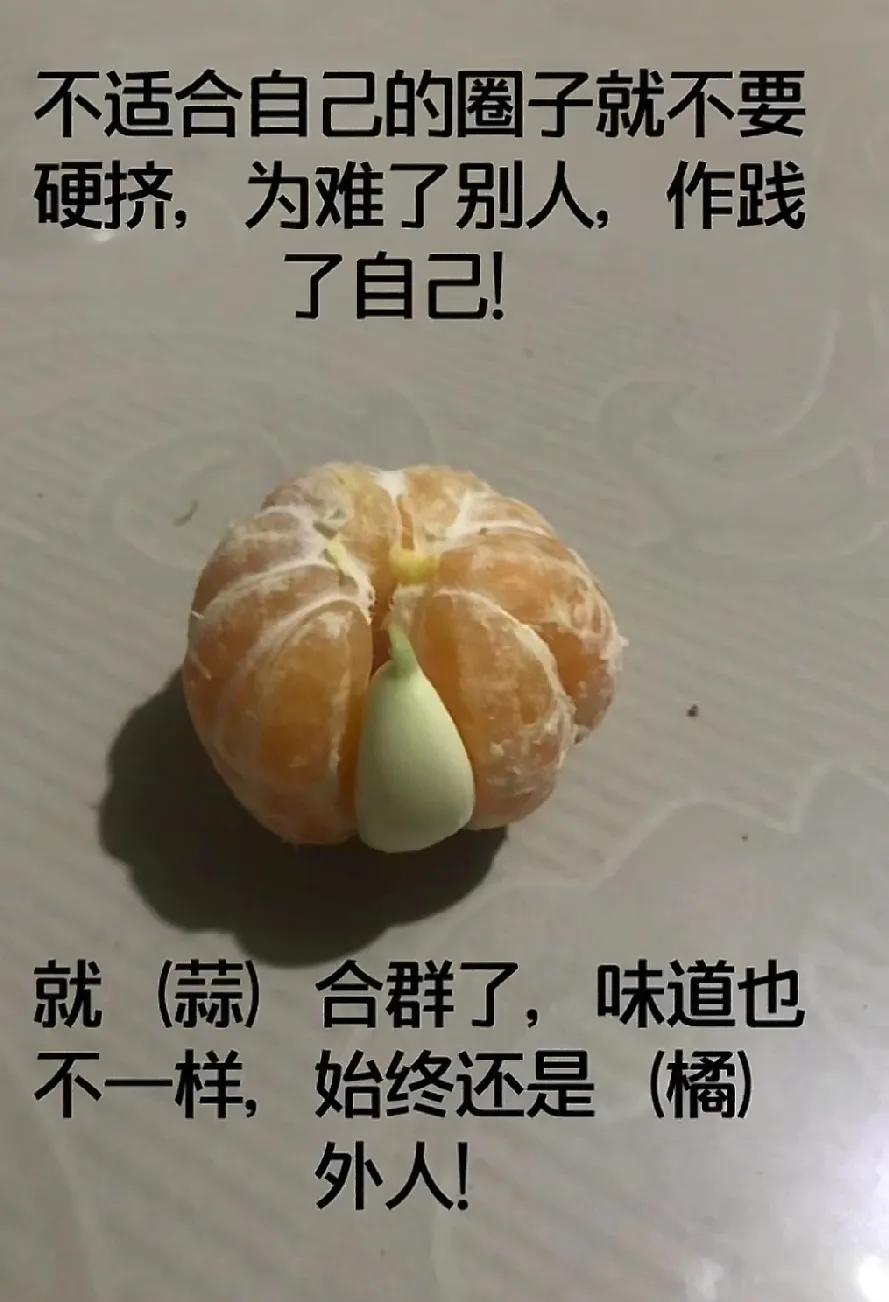 圈子不同，不必强融！你是什么层次，就聊什么天儿！

有没有发现，人真的分层次，聊