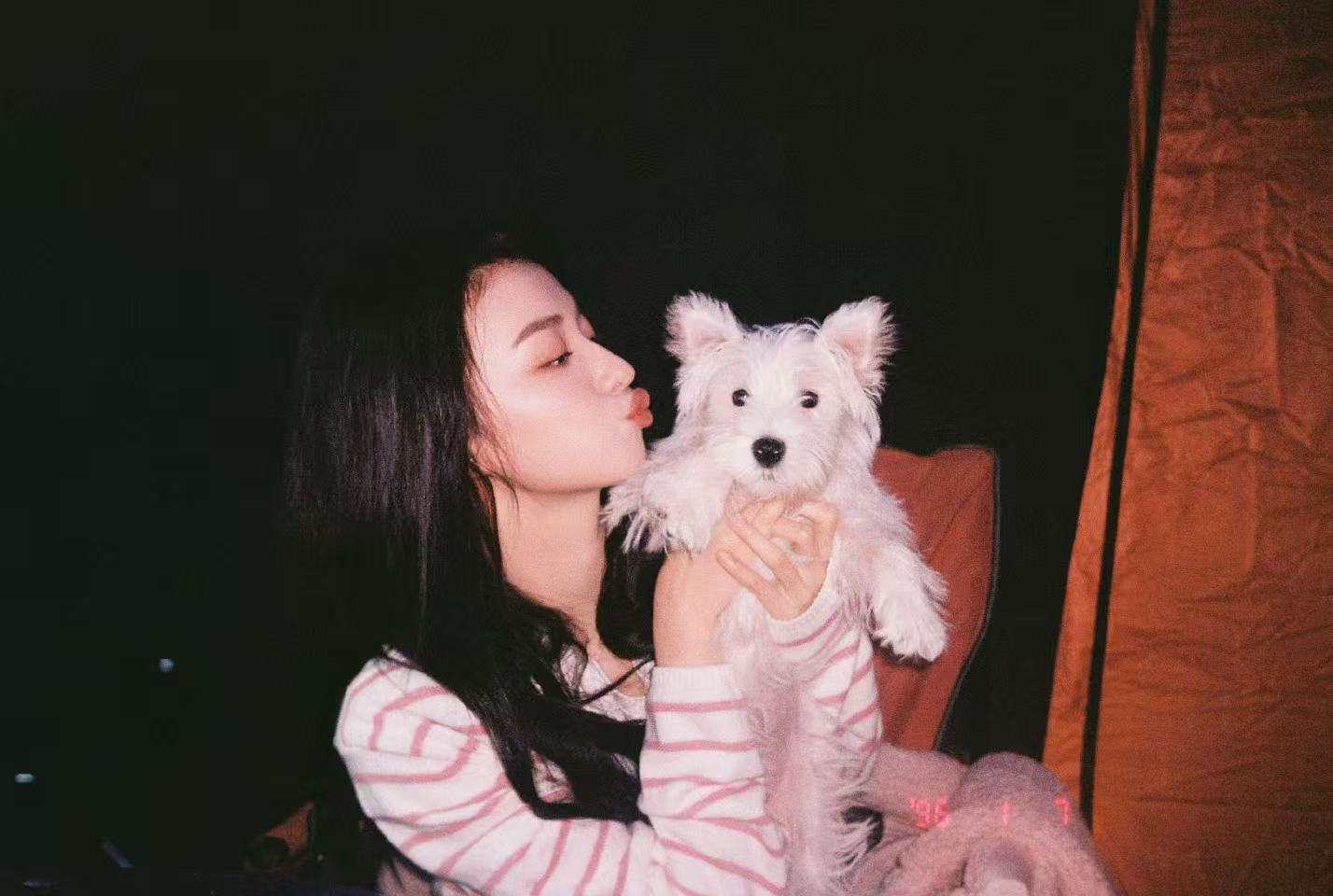 世界破破烂烂，小🐶缝缝补补。们爱火导演嘴里的“榔头🐶”幼年体拖把真的好可爱。