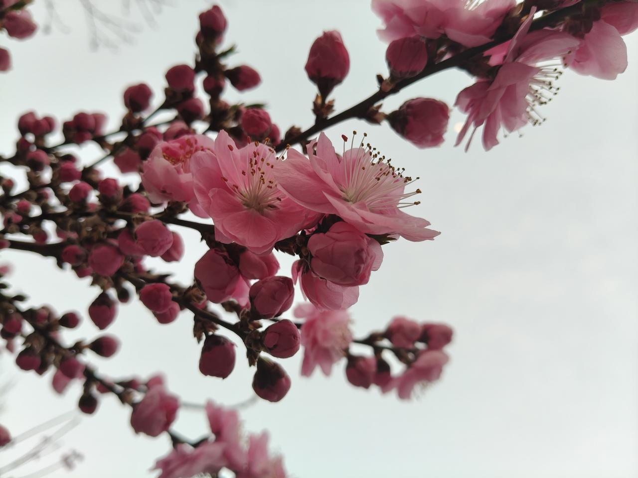 上联∶古有快马送信，请对下联今有手机传情。