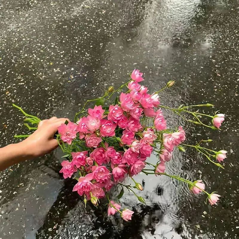 没有身在其中，何来感同身受。生活碎碎念情绪树洞 ​​​