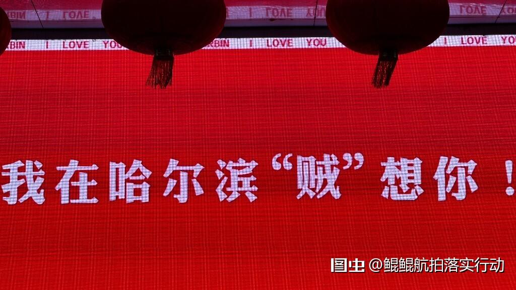 「#哈尔滨」 「#国庆节」 「#2024拍照不要停」#晒出你的国庆照#
