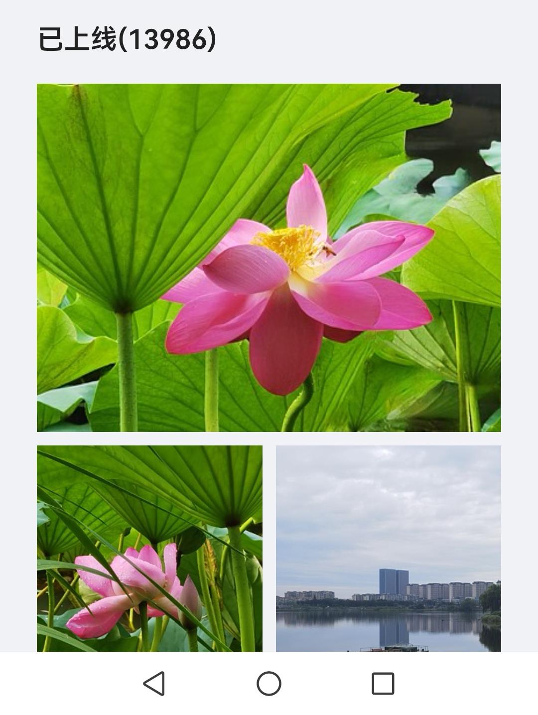 视觉中国已经上线13986张照片，特存谢。
视觉中国&500px 视觉中国