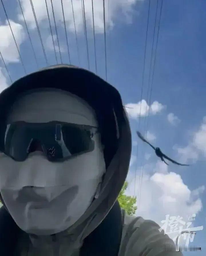 真TM服了！杭州一大哥骑车路过一棵大树，好家伙，树上跟装了感应器似的，一只黑鸟直
