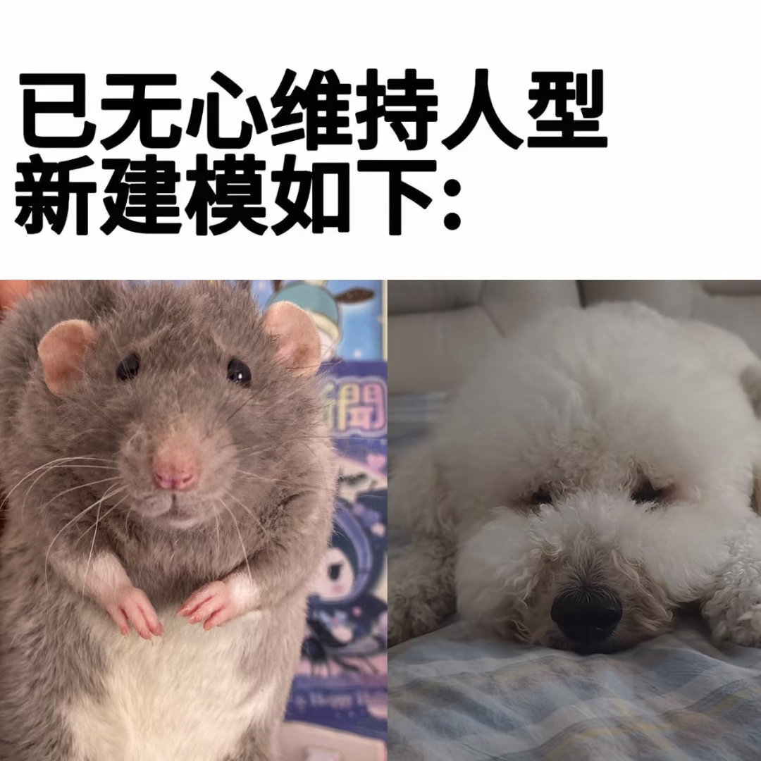啊对对对对对…哦不对不对不对… 