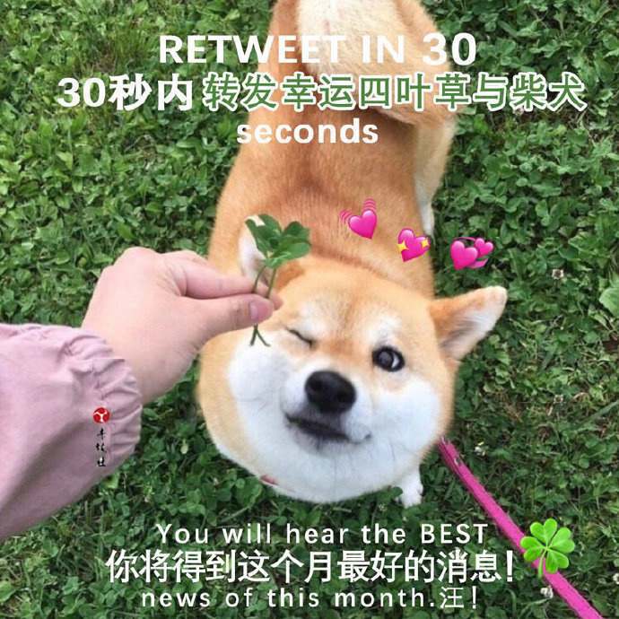转发好运 拜托了 好消息快快降临🙏 