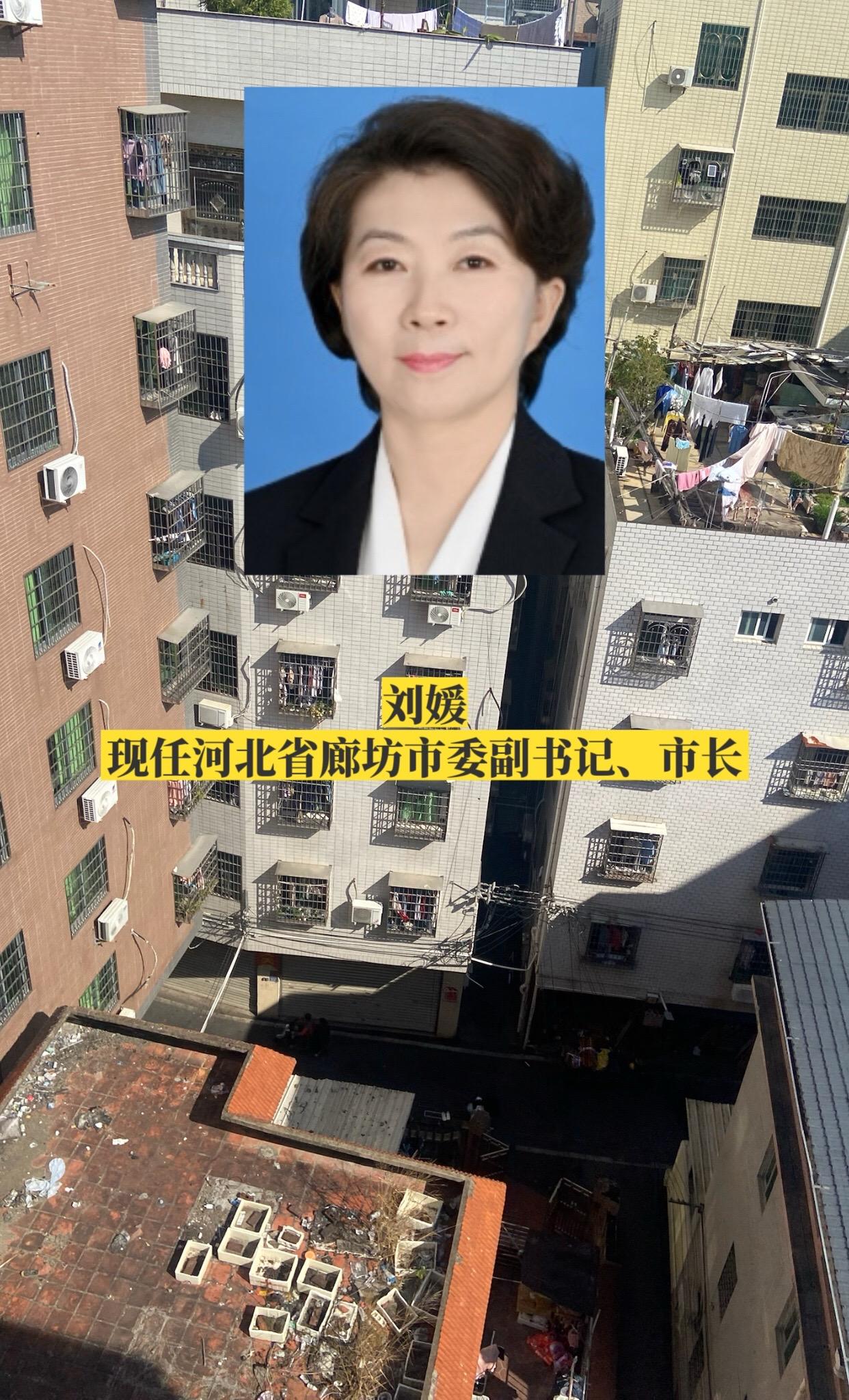 河北廊坊市政府领导。