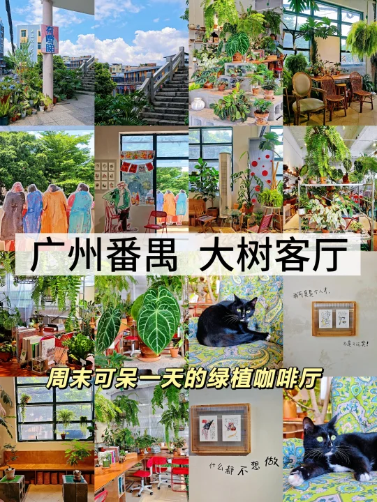 广州！番禺！大树客厅！绿植咖啡厅！好出片