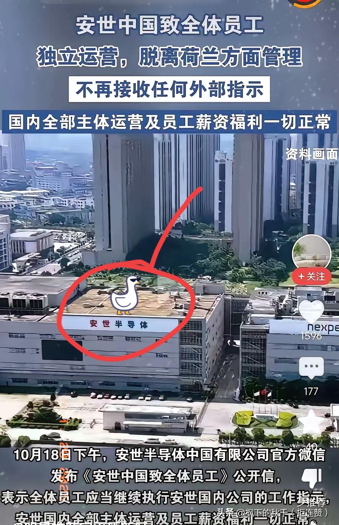 荷兰这次，真的踢到铁板了！
 
家人们，大瓜来了！安世中国宣布独立运营，不再听荷