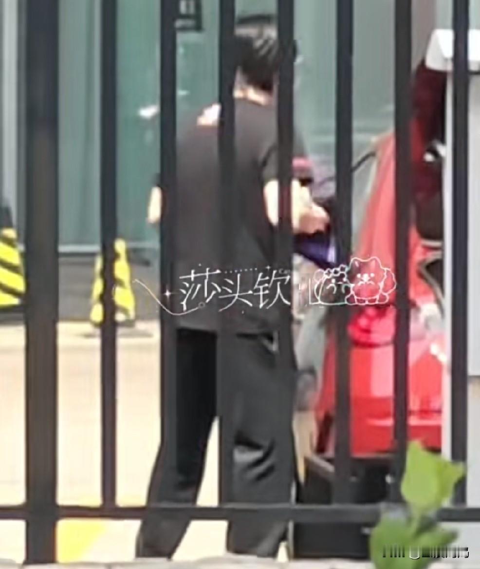 中国乒乓球队平安抵达北京了，
队里还组织队员们来接机了。
王晨策一如既往地来接老