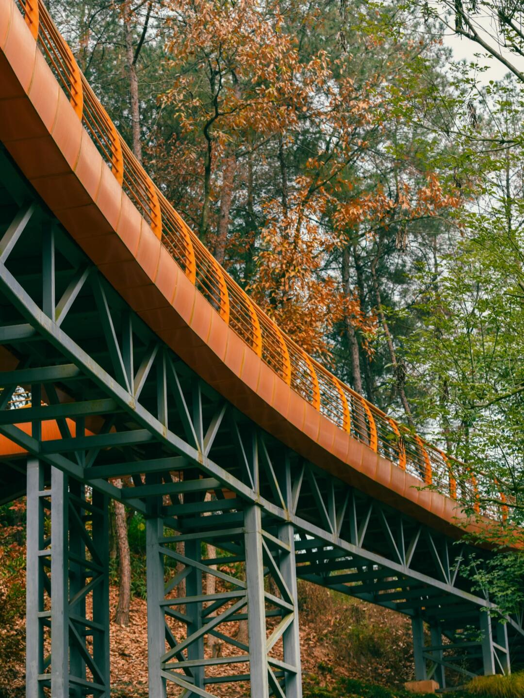 成都小众地|可自由呼吸的宝藏露营公园🏕