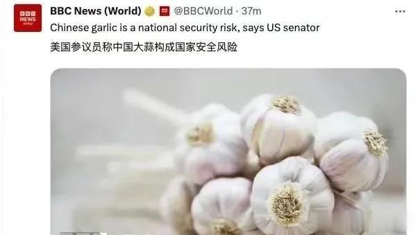 美国一参议员给雷蒙多写信，指控“中国大蒜构成重大国家安全风险，用粪便施肥大蒜，美