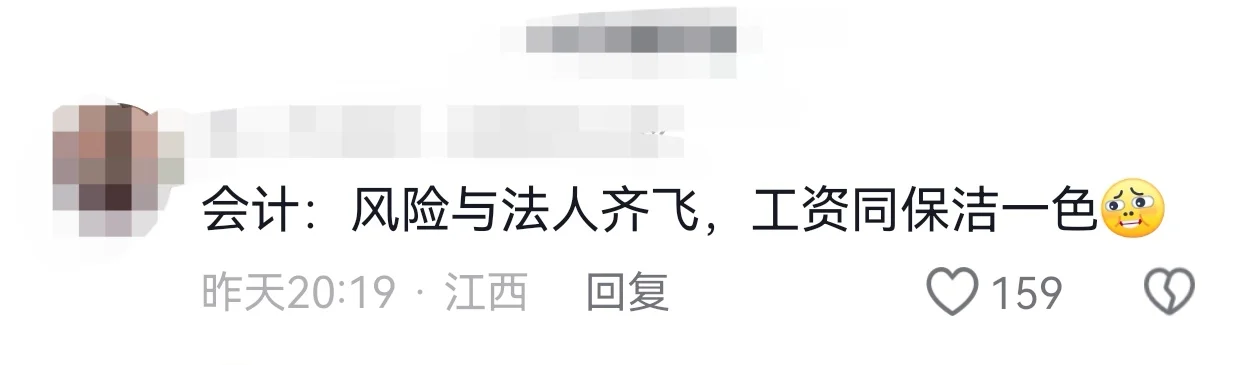 嗯…关于会计报税又刷脸又发誓！
