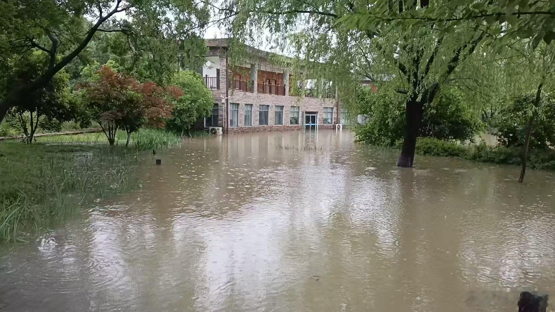 武汉的雨水有这么夸张嘛武汉日常分享