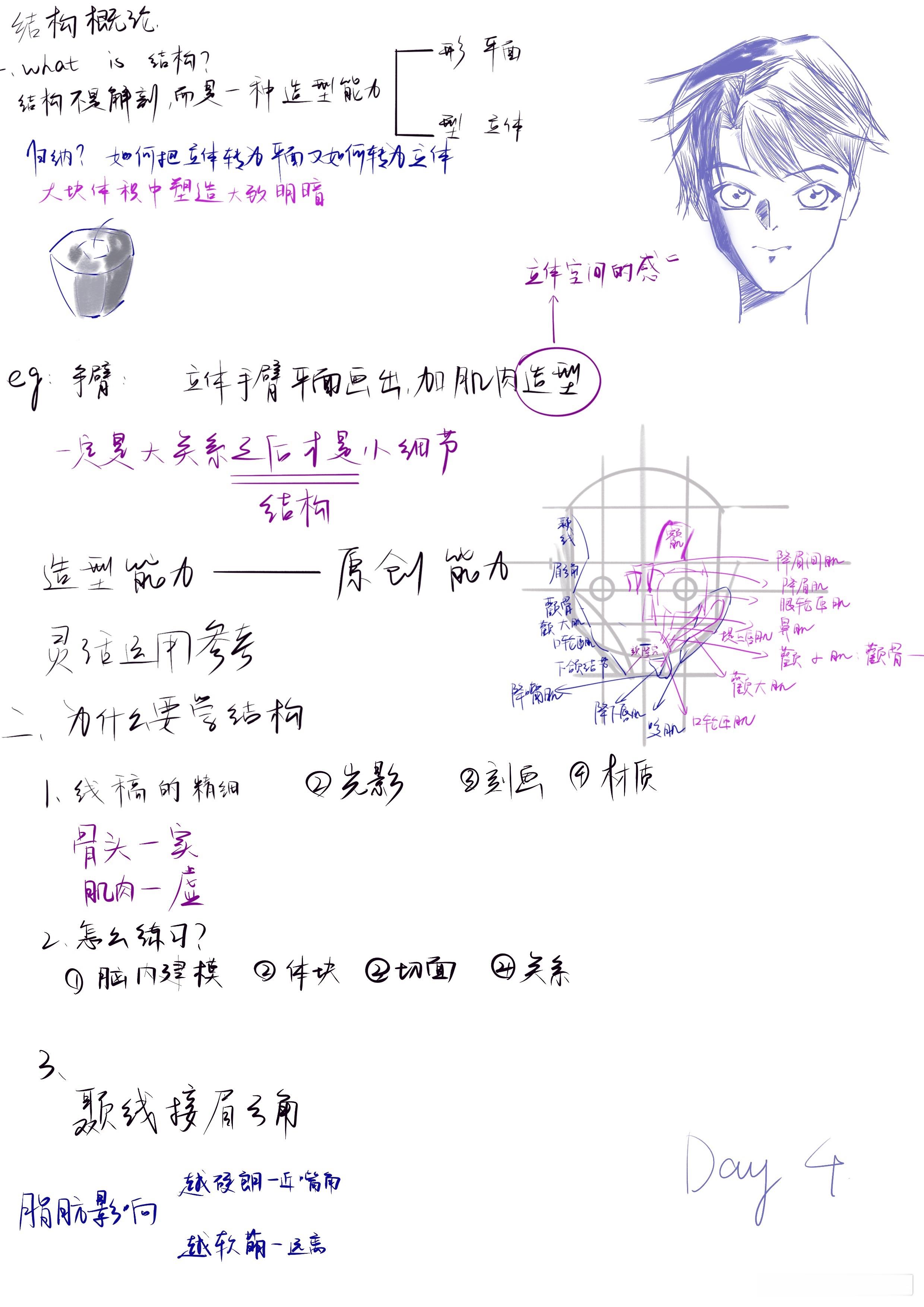 调调头像课 day4有种回到大学学解剖的感觉，不过不变的是都是网课哈哈哈  专栏