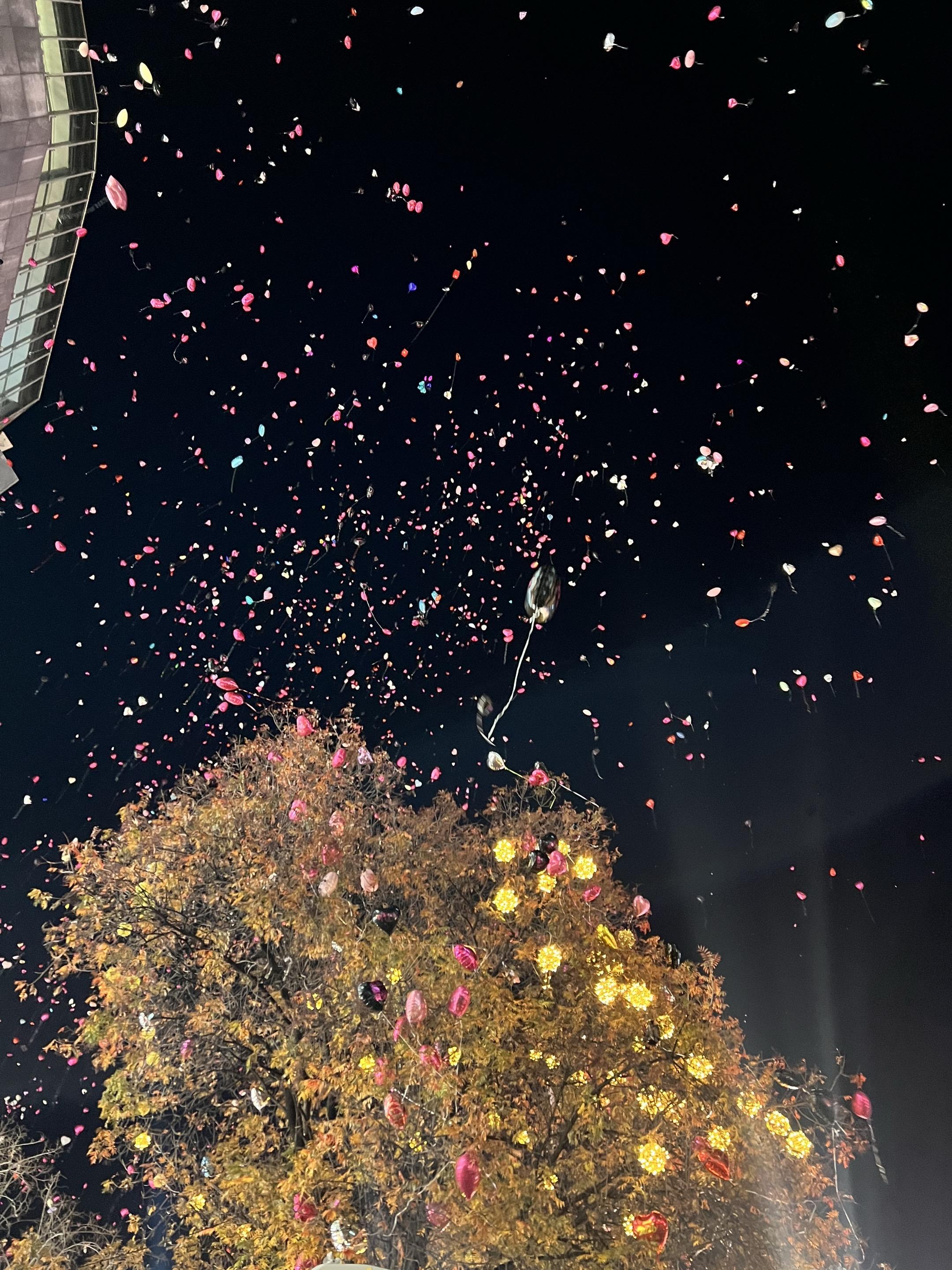 兄弟们，祝你们新的一年越来越好！