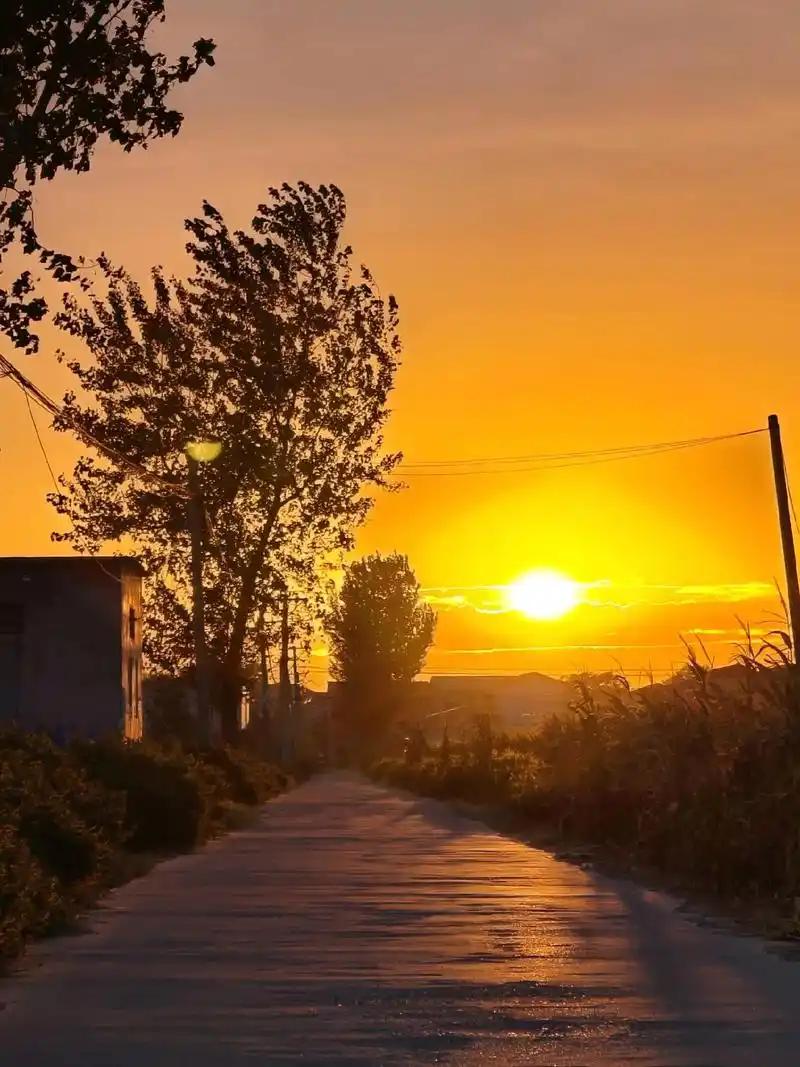 我格外偏爱夏日晚霞，那漫天温柔的暮色，仿佛能轻轻抚平我整日的所有疲惫，让人沉醉其