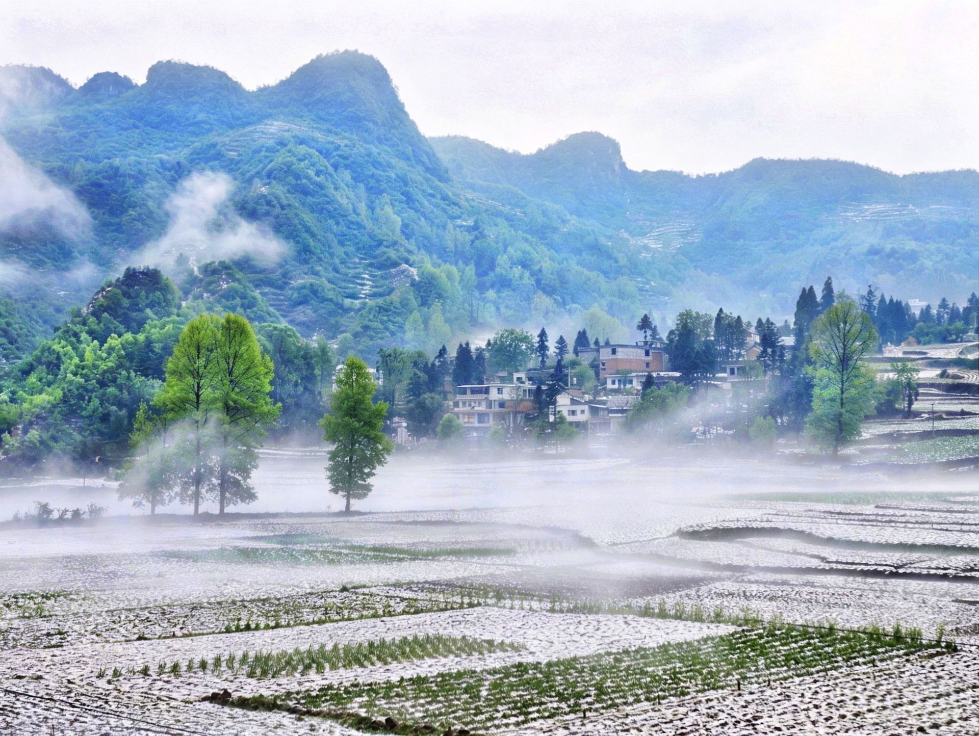 千万不要再美化种地生活了可惜你不种地，理解不了农民的心酸，农村没有诗和远方，只有