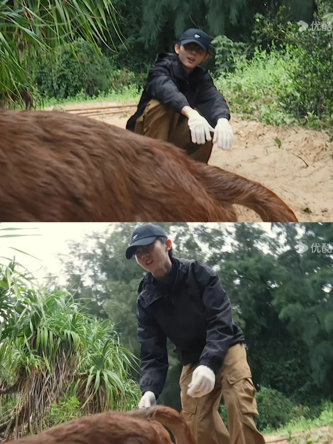 马嘉祺真的很喜欢动物，好温柔