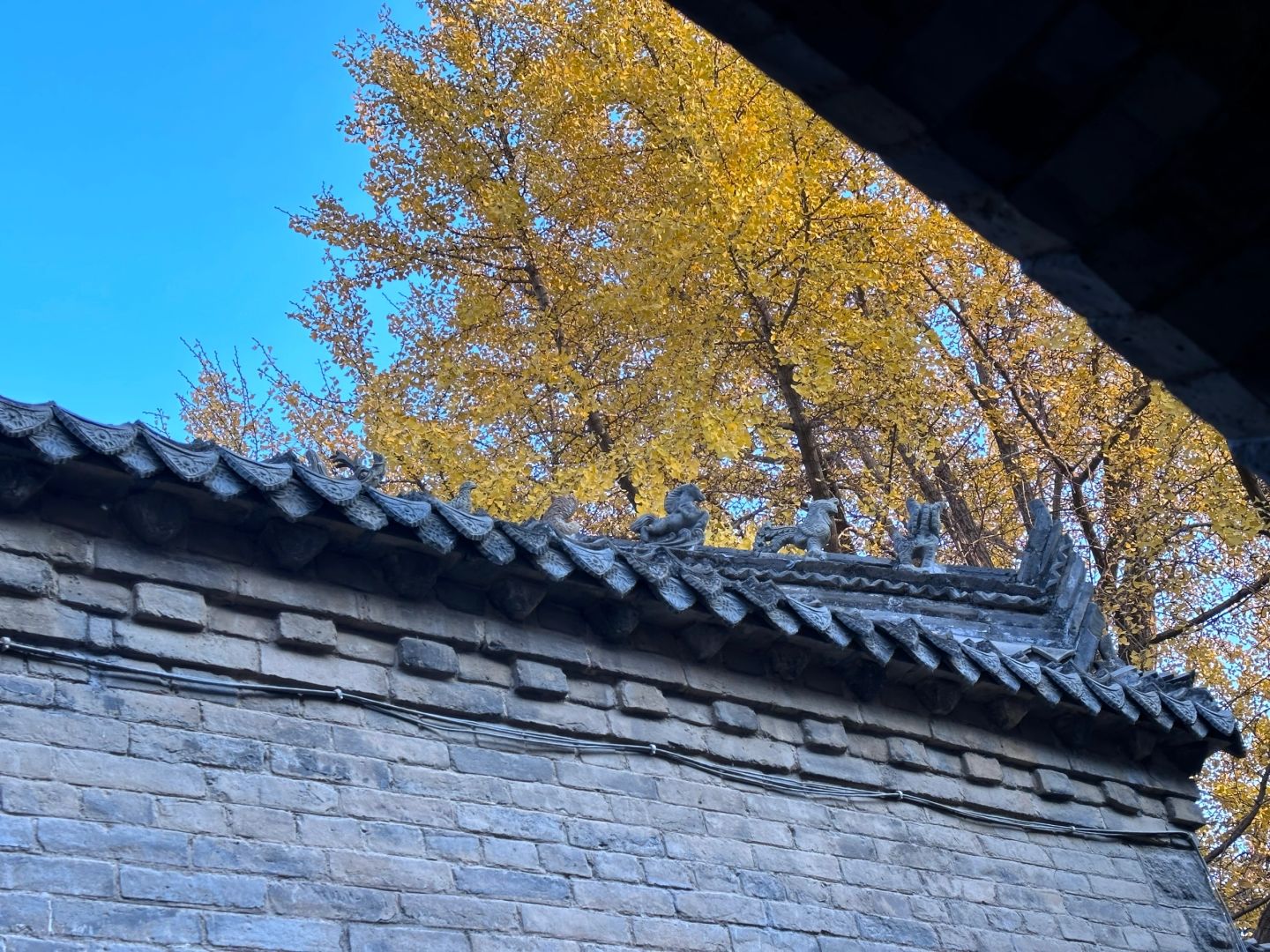 绿树红墙琉璃瓦