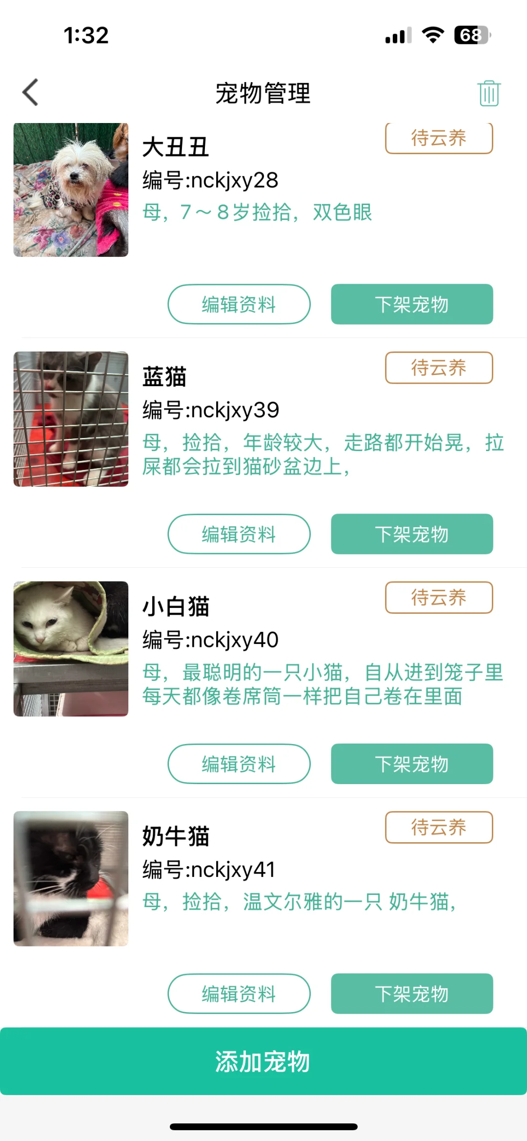 我很乖 可以做我一周的云麻麻吗？