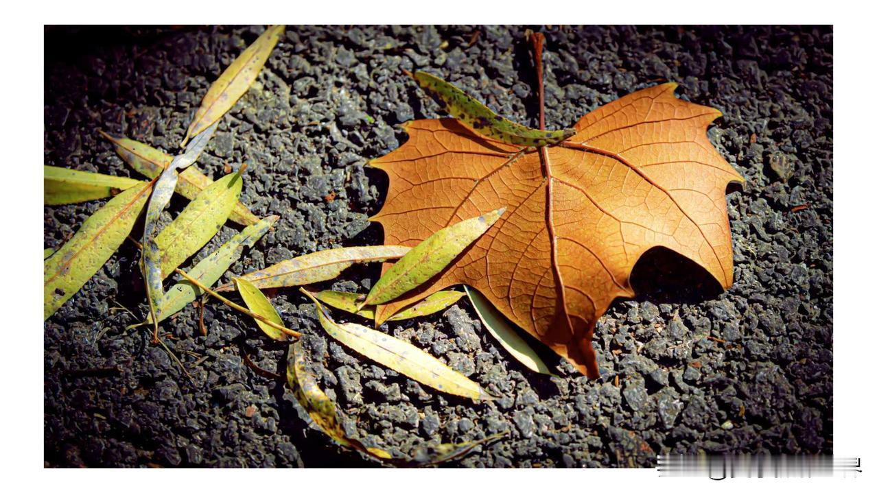 就算超不过去，也不该不让路呀！明明有个很重要的操作叫“刹车”，这样能避免很多事故