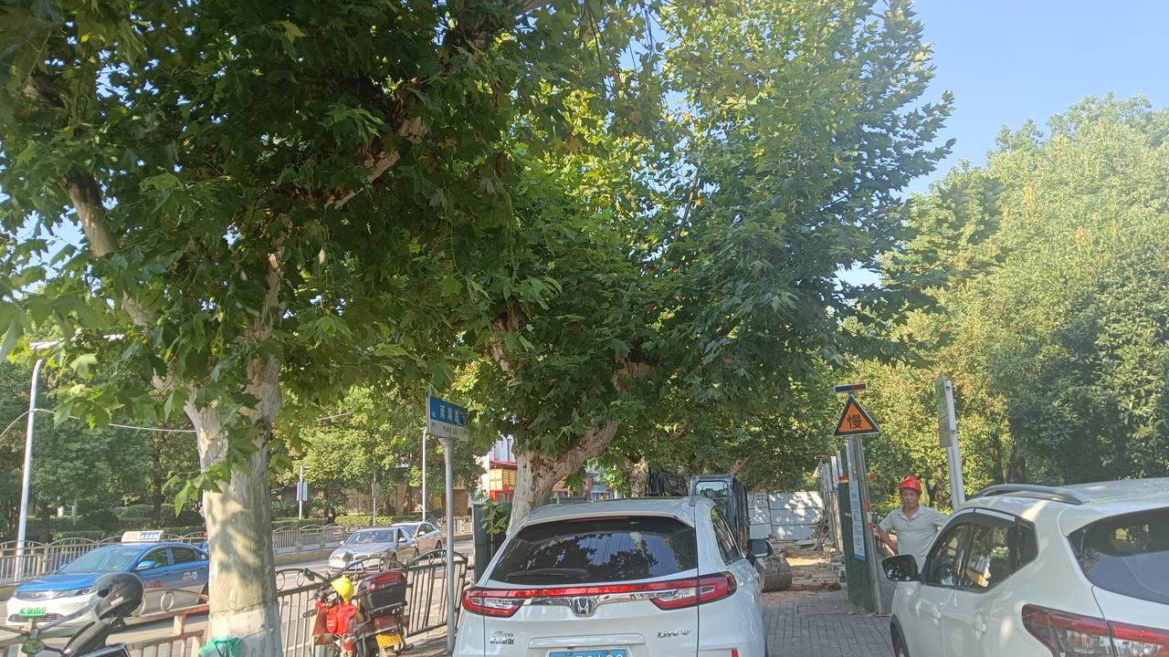 一条好好的美丽的人行道被弄得面目全非。这条林荫行道，遮阴蔽日，风景优美。头上是火