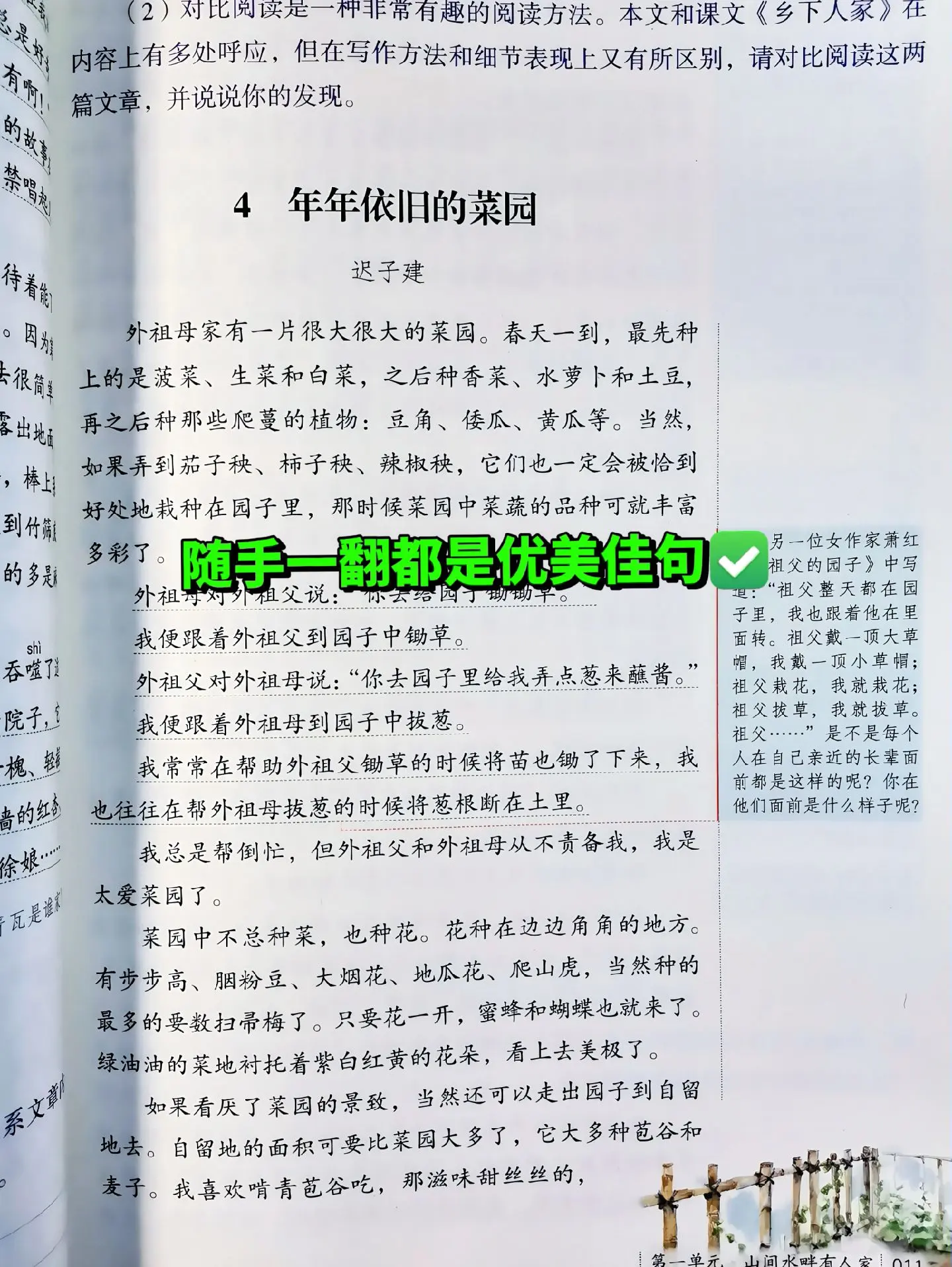 语文学霸必备的《人民日报伴你阅读》‼️。📚人民日报权威出版‼️同步课...