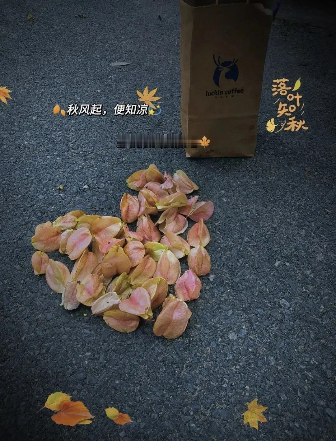 🎈²º²⁴◌*⃝̥ ☔﹌ “凡事适可而止，善良过了头就是缺心眼，谦虚过了头就成