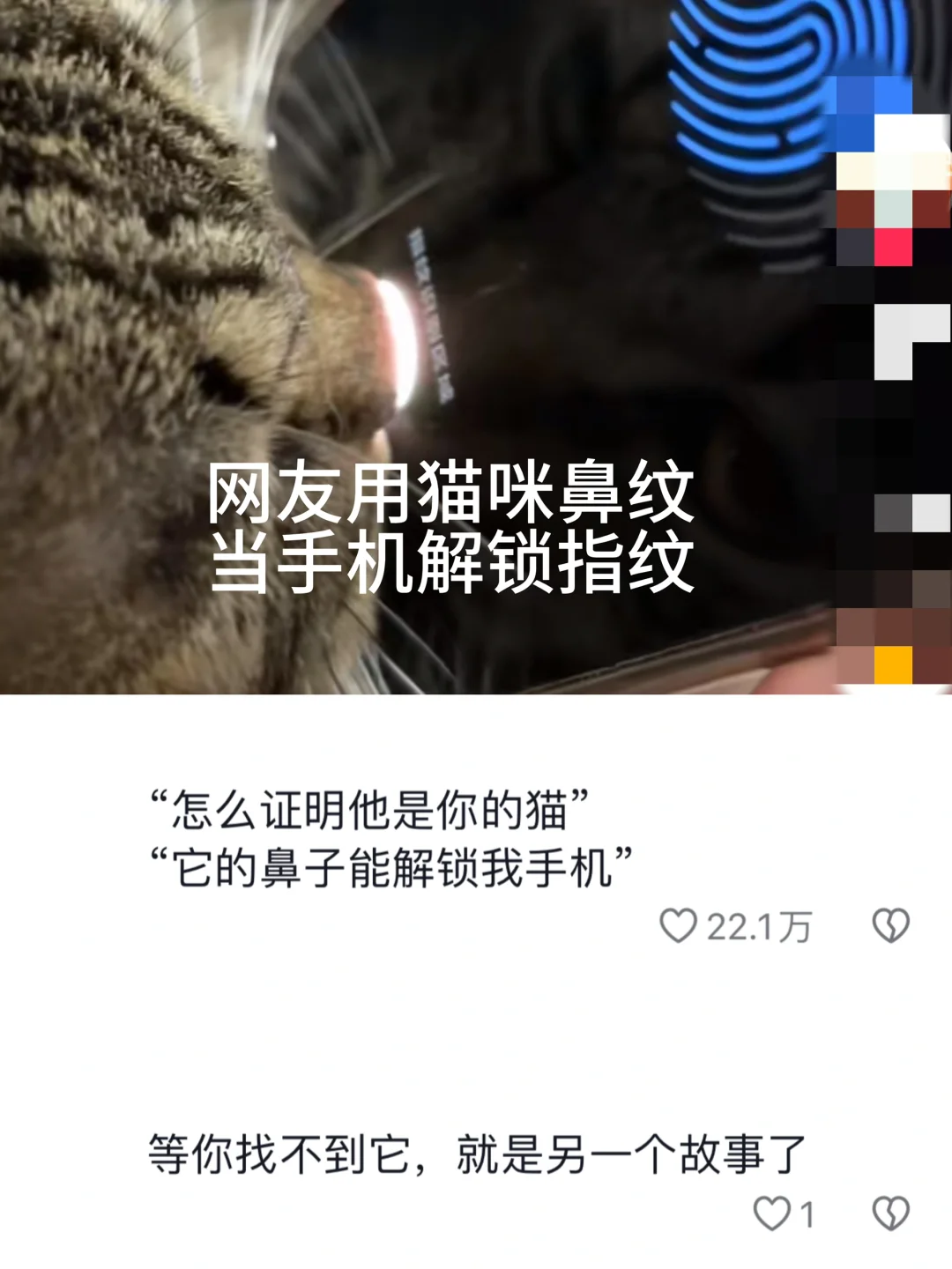 小猫半夜给自己买了5000根猫条