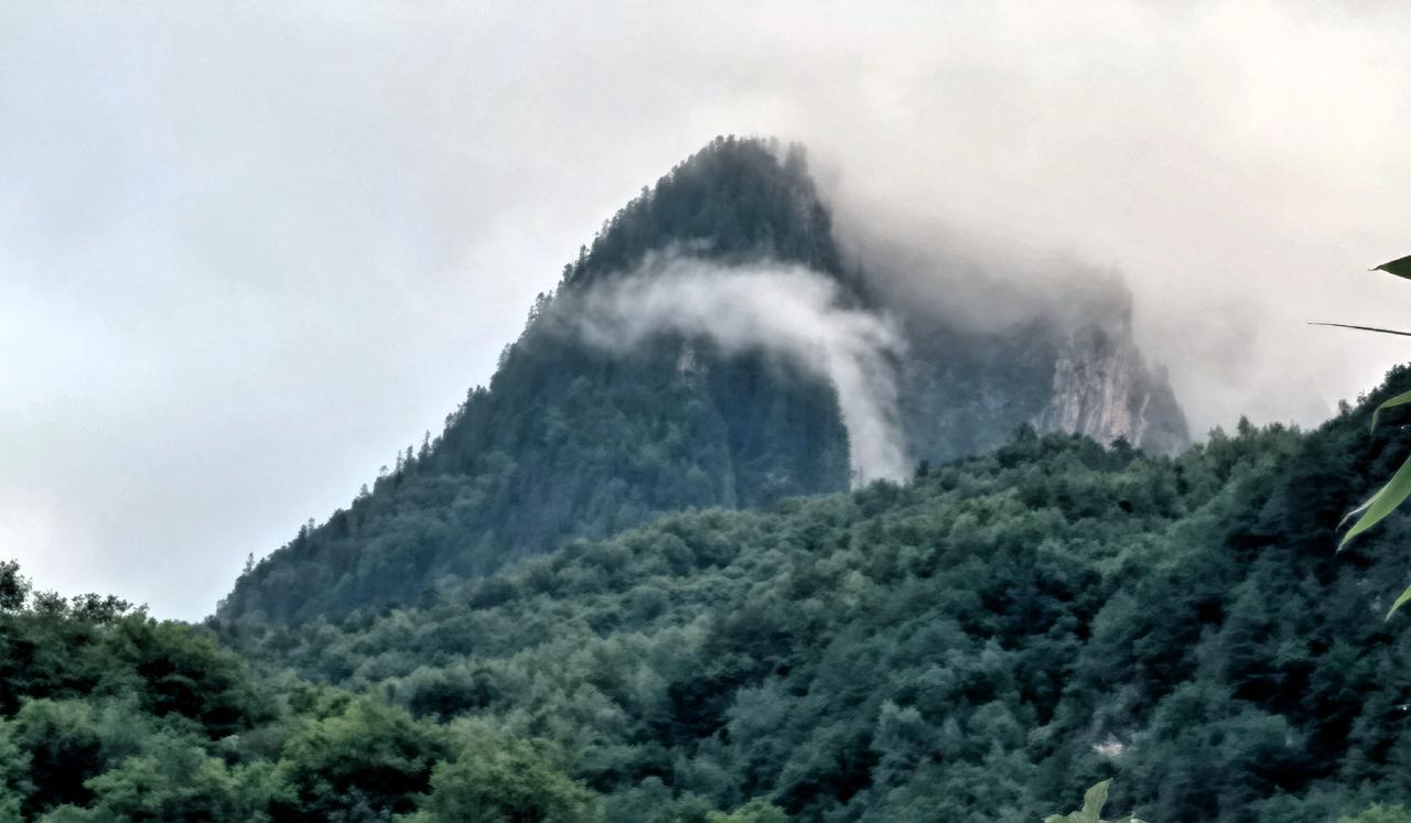藏区风景 云雾缭绕山巅，绿树掩映人间。五月端午晚三点出发到舟曲巴藏镇徒步朝水崖昂