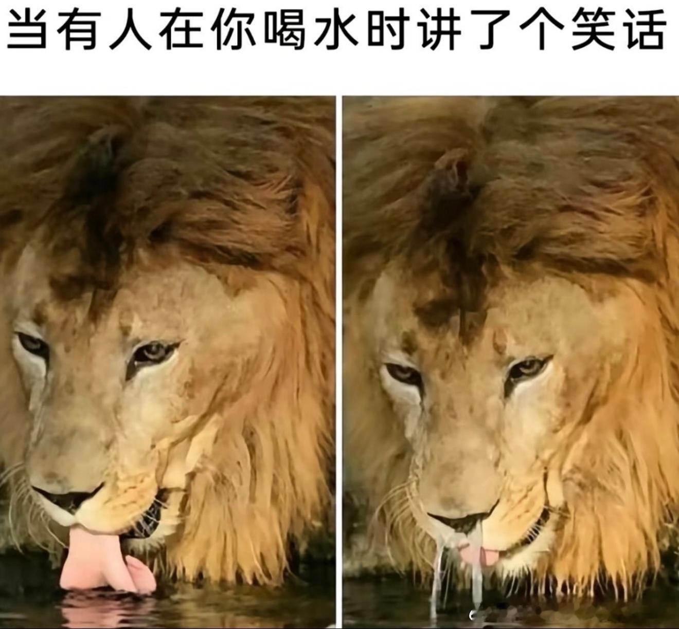 6896好像我 ​​​