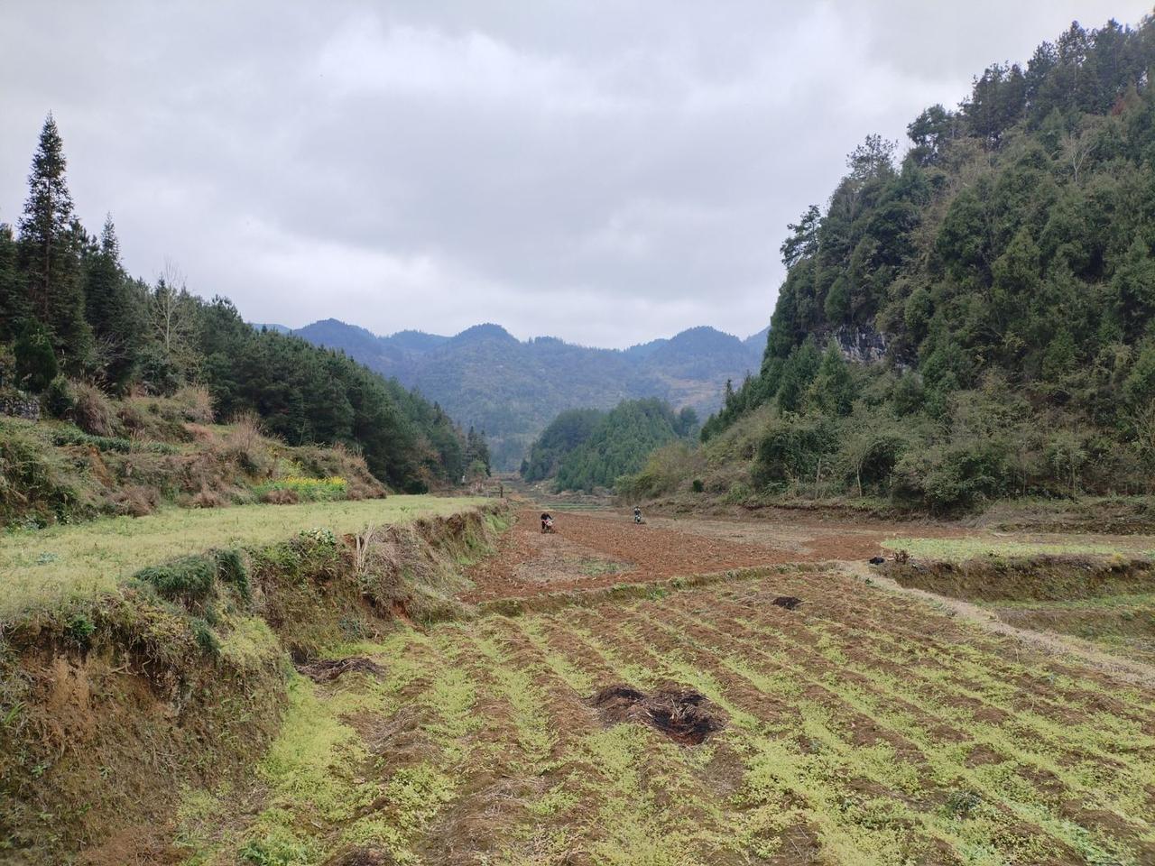 【全国土地日】贵州省务川县与德江县交界处的小地名——石盆头，呈一段U状谷坳地貌，