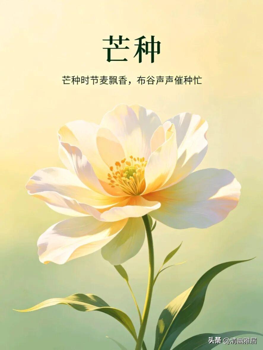 我认为不支持。电话手表虽然方便联系，但是小学生可能会分散学习注意力。