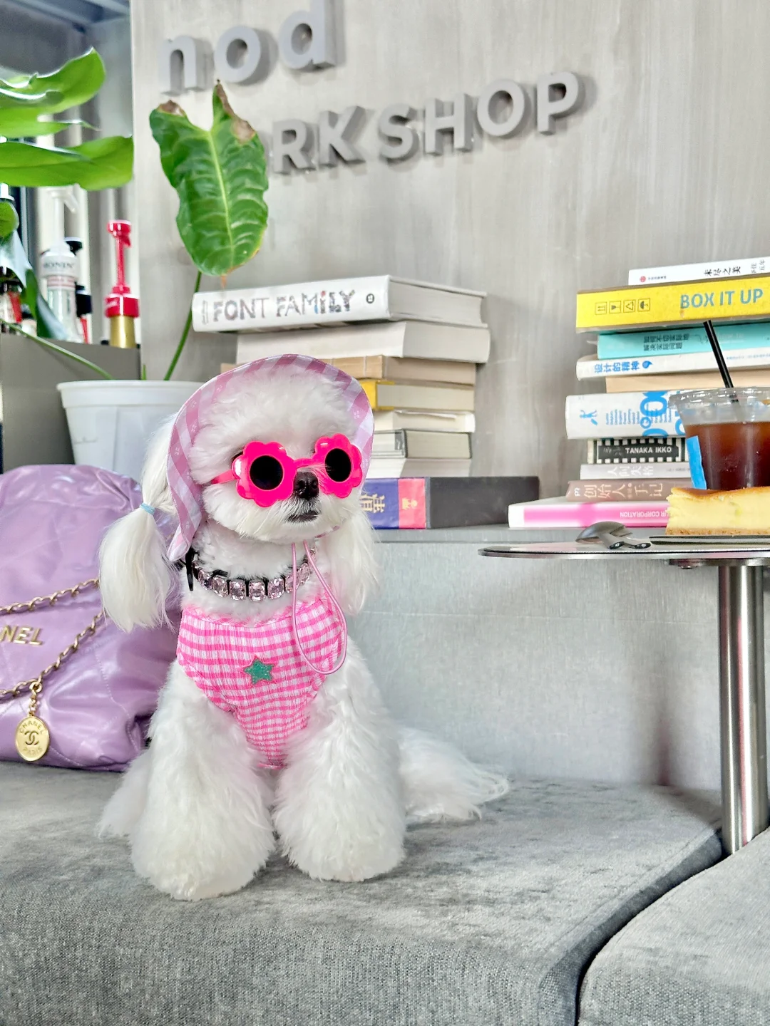 遇见小狗🐶到底谁更幸运呢？！